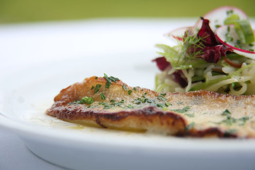 Ernährung 